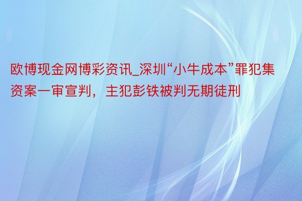 欧博现金网博彩资讯_深圳“小牛成本”罪犯集资案一审宣判，主犯彭铁被判无期徒刑