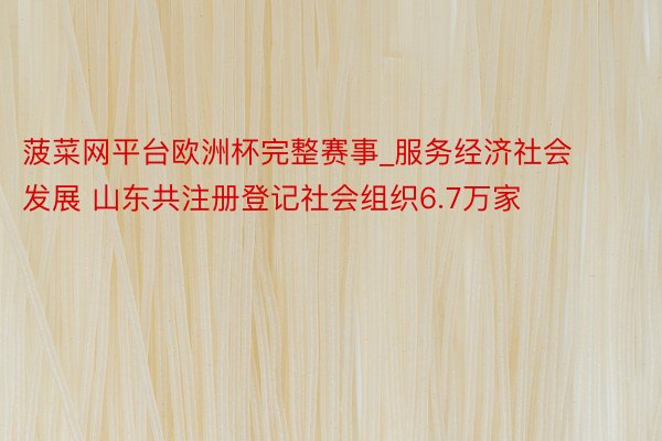 菠菜网平台欧洲杯完整赛事_服务经济社会发展 山东共注册登记社会组织6.7万家