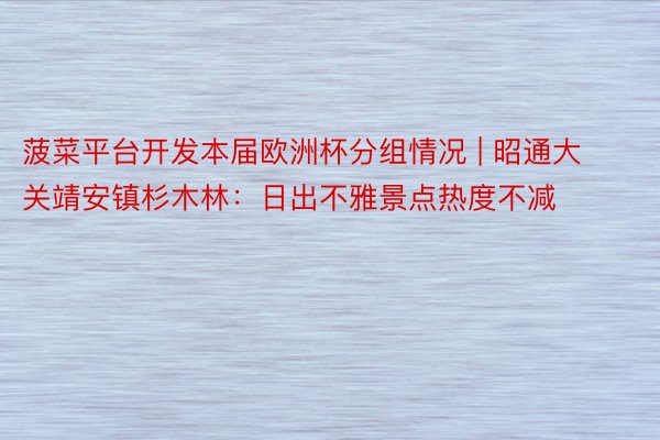 菠菜平台开发本届欧洲杯分组情况 | 昭通大关靖安镇杉木林：日出不雅景点热度不减