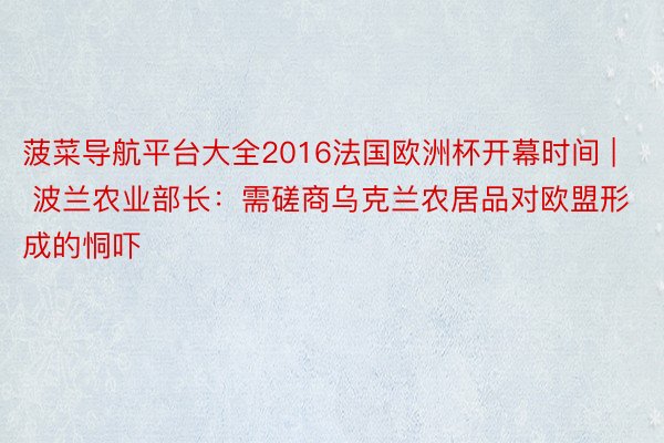 菠菜导航平台大全2016法国欧洲杯开幕时间 | 波兰农业部长：需磋商乌克兰农居品对欧盟形成的恫吓